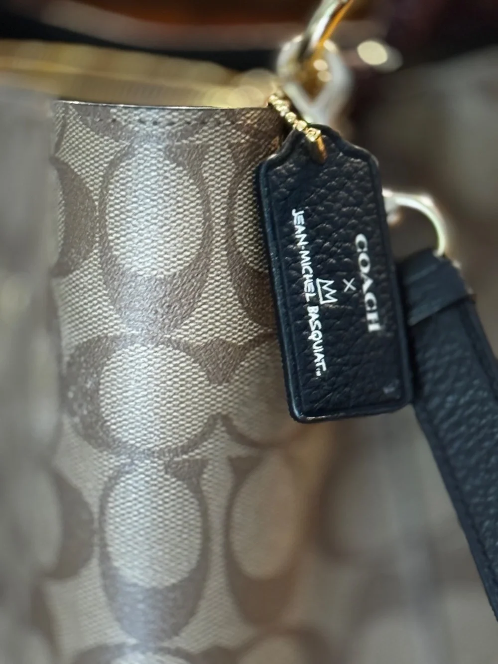 Coach Basquiat Rexie Bucket Bag Limited Signature Canvas